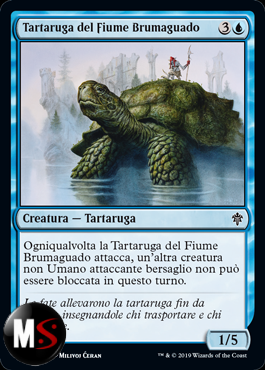 TARTARUGA DEL FIUME BRUMAGUADO