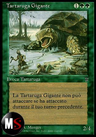 TARTARUGA GIGANTE