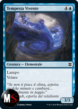 TEMPESTA VIVENTE