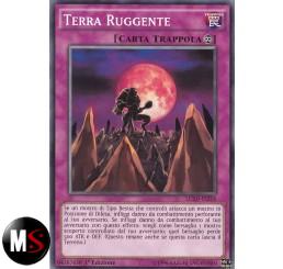 TERRA RUGGENTE