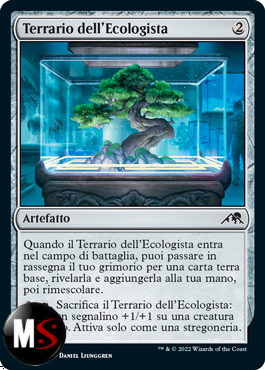 TERRARIO DELL'ECOLOGISTA