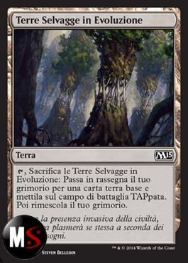 TERRE SELVAGGE IN EVOLUZIONE