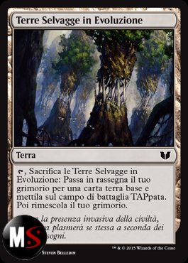 TERRE SELVAGGE IN EVOLUZIONE