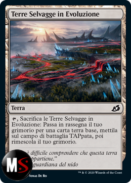 TERRE SELVAGGE IN EVOLUZIONE