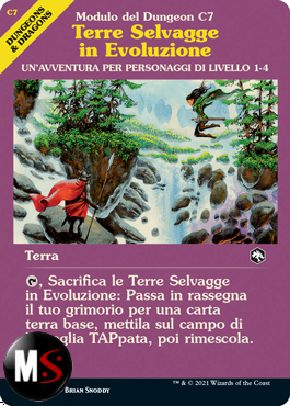 TERRE SELVAGGE IN EVOLUZIONE