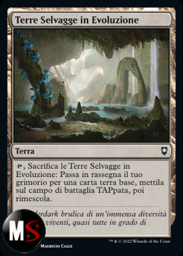 TERRE SELVAGGE IN EVOLUZIONE