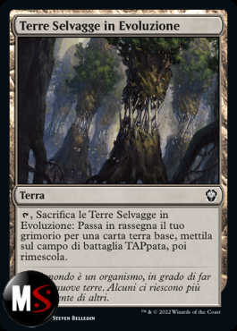 TERRE SELVAGGE IN EVOLUZIONE