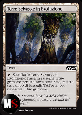 TERRE SELVAGGE IN EVOLUZIONE