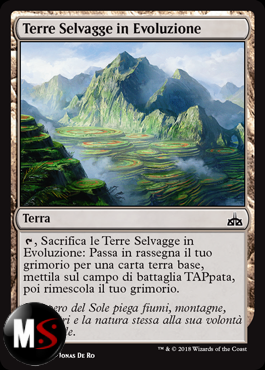 TERRE SELVAGGE IN EVOLUZIONE