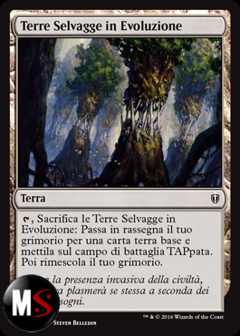 TERRE SELVAGGE IN EVOLUZIONE