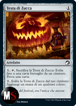 TESTA DI ZUCCA