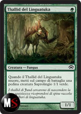 THALLID DEL LINGUATUKA 