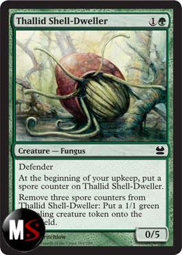 THALLID SHELL-DWELLER