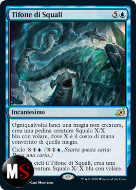TIFONE DI SQUALI