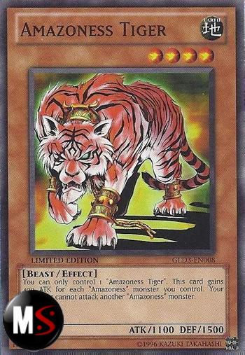 TIGRE AMAZONESS