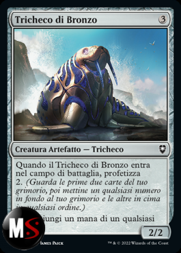 TRICHECO DI BRONZO