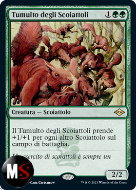 TUMULTO DEGLI SCOIATTOLI