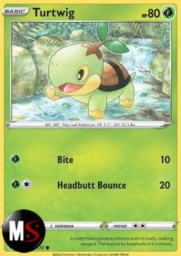 TURTWIG