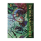 DUNGEONS & DRAGONS FORGOTTEN REALMS ADVENTURES IN FAERUN - ADVENTURE GUIDE ALT COVER- ENG