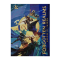DUNGEONS & DRAGONS FORGOTTEN REALMS HEROES OF FAERUN - PLAYER'S GUIDE ALT COVER - ENG