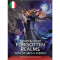 DUNGEONS & DRAGONS FORGOTTEN REALMS ADVENTURES IN FAERUN - ESPANSIONE PER IL DUNGEON MASTER - ITALIANO DUNGEONS & DRAGONS FORGOTTEN REALMS ADVENTURES IN FAERUN - ESPANSIONE PER IL DUNGEON MASTER - ITALIANO
