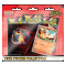POKEMON - COLLEZIONE CON ADESIVI MEGAEVOLUZIONE ASCESA EROICA - CHARMANDER TECH STICKER COLLECTION - (COD: 10314)