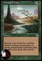 UNTAMED WILDS