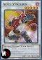 ACCEL SYNCHRON