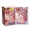 DS100 SLEEVES STANDARD MATTE ART - DEMON HUNTERS - (AT-12106)