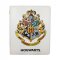 DRAGON SHIELD CARD CODEX REGULAR - WIZARDING WORLD HOGWARTS