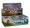 BLOOMBURROW - PLAY BOOSTER DISPLAY (36 BUSTE) - ITALIANO