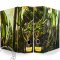 DRAGON SHIELD RACCOGLITORE AD ANELLI CON COFANETTO - GREEN ART DRAGON - SLIPCASE BINDER