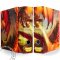 DRAGON SHIELD RACCOGLITORE AD ANELLI CON COFANETTO - RED ART DRAGON - SLIPCASE BINDER