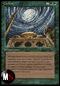 CICLONE