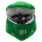 E-15758 D20 PLUSH DICE BAG - GREEN