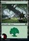 FORESTA