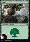 FORESTA (V.2)