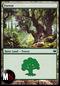 FORESTA