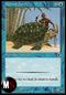 HORNED TURTLE