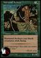 NORWOOD ARCHERS
