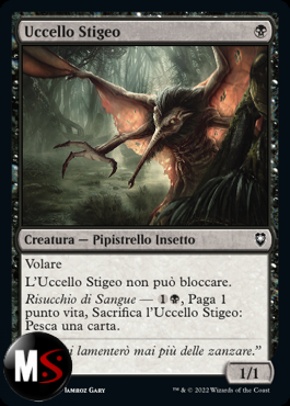 UCCELLO STIGEO