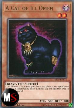 UN GATTO DELLA SFORTUNA