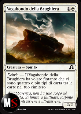 VAGABONDO DELLA BRUGHIERA