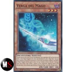 VERGA DEL MAGO