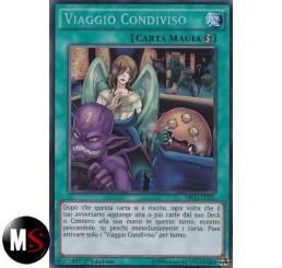 VIAGGIO CONDIVISO
