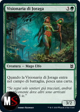 VISIONARIA DI JORAGA