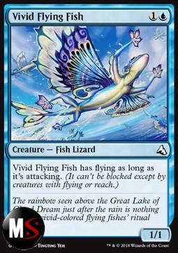 VIVID FLYING FISH