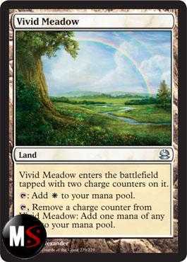 VIVID MEADOW