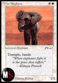WAR ELEPHANT (1)