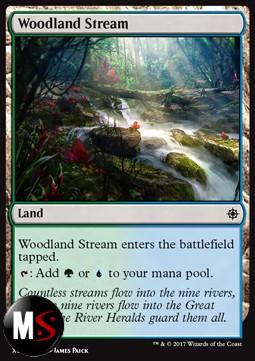 WOODLAND STREAM